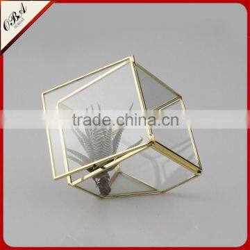 Bright Gold Frame Plant Geometric Glass Terrarium/Differ Size Glass Terrarium