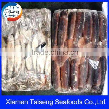 Sea Frozen Squid Size 150-200