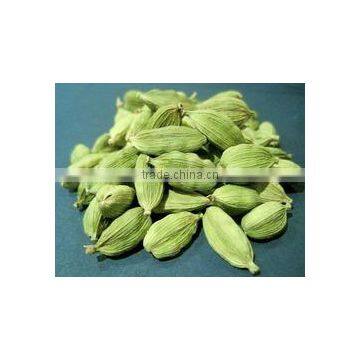 Cardamom 8 MM photo-2