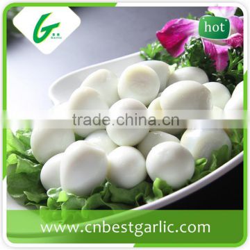 Fertilized fresh quail eggs for sale