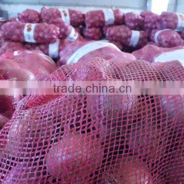Supply Fresh Red Onion and Yellow Onion