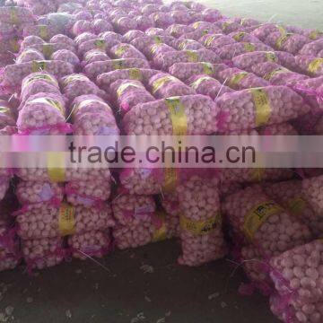 Hot Selling Normal White Fresh Garlic Price photo-6