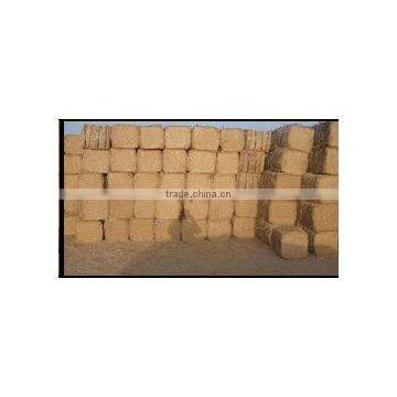 wheat straw hay, straw hay bale, animal filler hay, wheat hay bale, straw hay, wheat straw