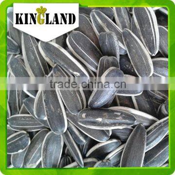 Dried and Raw Sunflower Seeds Sunflower Seeds Turkey Market Price Best Quality photo-3