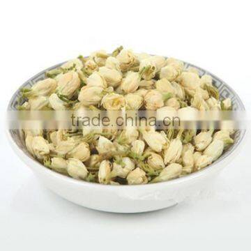 Best Quality Jasminum Sambac