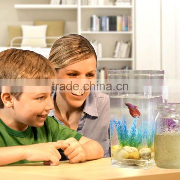 Kawachi New Design Fun Fish Cleaning Tank Fish Aquarium