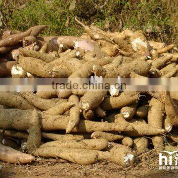 50ton/day cassava flour processing machine