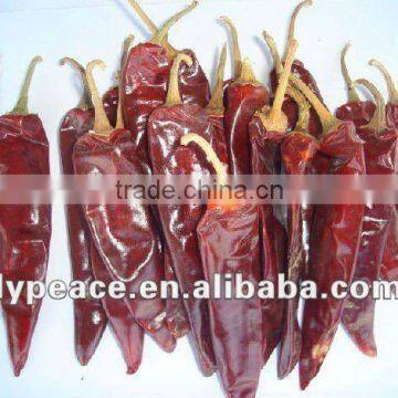 newest dried red bell pepper and chilli