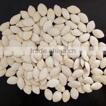 Hulled Shine skin pumpkin seeds 9-11mm of 2016