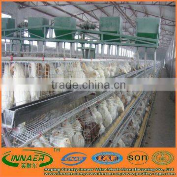 Automatic Chicken Layer Cage for Chicken Farm
