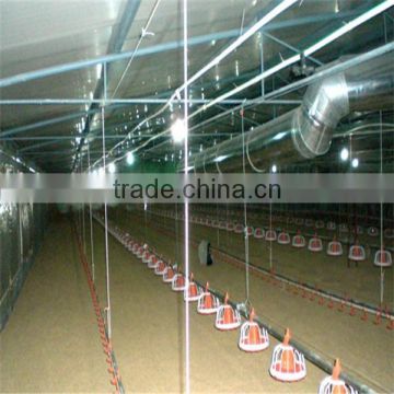 professional modern chicken farm supplier to design