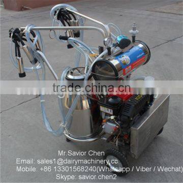 Diesel Engine Single Cow Milking Machine For 20 Cows Farm photo-6