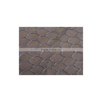 hexagonal wire mesh