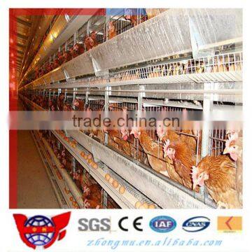 High quality chicken poultry farm equipment used for chicken cage