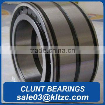 Motor bike cylinderical roller bearing N19/630