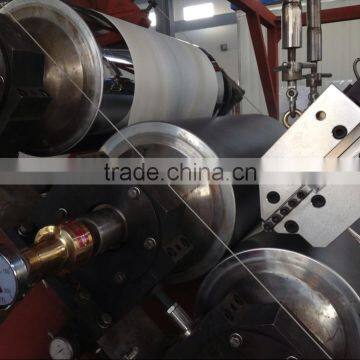 Starch Biodegradable Sheet Machine photo-2