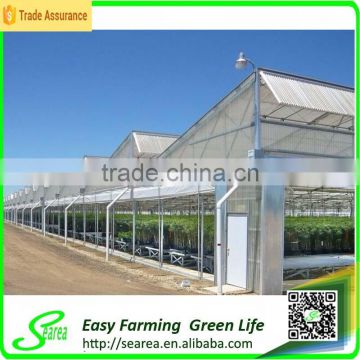 Natural color aluminium profiles greenhouse for agricultural