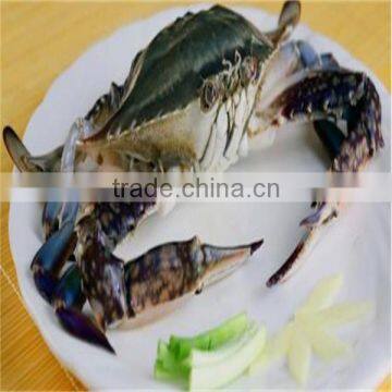 frozen male&female blue swimming crabs with quite delicious