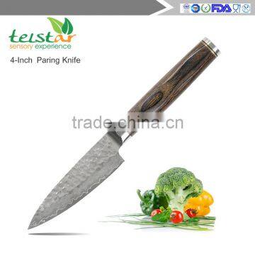 Japanese VG10 Super Steel 67 Layer High Carbon Stainless Steel Chef Knife photo-5