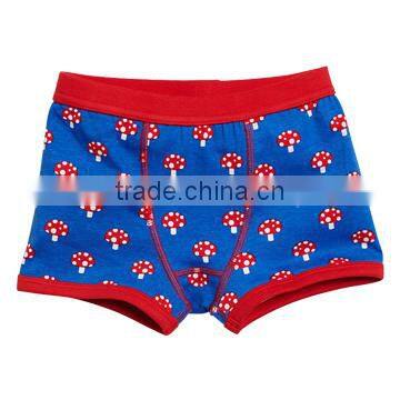 New Style Colorful Men Underwear Boxer Briefs photo-6