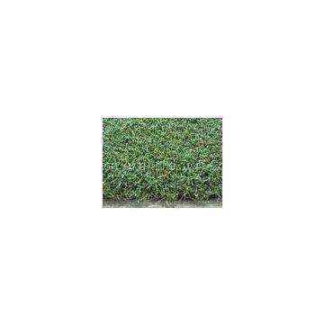 PP + Cloth Backing , 4500Dtex Golf Artificial Grass Putting Greens For Home Decorative