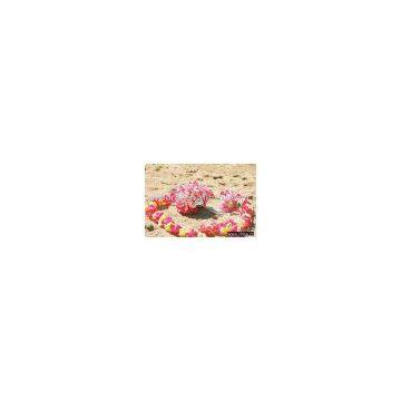 Artificial garland-081514-Silk Flower Leis- Daisy Lei-Honey Moon Lei-Party Lei