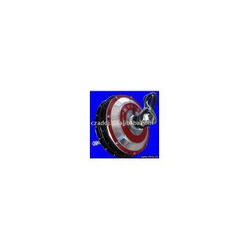 electric hub motor