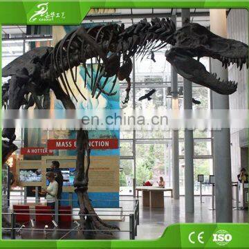 China KAWAH Factory Fiberglass Dinosaur Skeleton for Exhibition photo-2