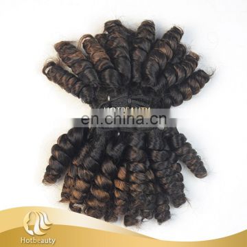 Top quality double drawn bulk virgin hair ombre funmi hair beyonce cury