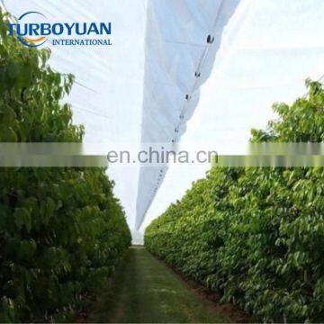 orchard fruit tree protection tent tarpaulin transparent plastic cover for cherry tree