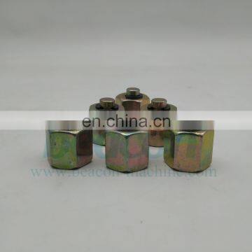 Fuel Rail Plug Common Rail Plug for Rail Pipe Diesel Pump Test Bench Spare Parts Accessories photo-4