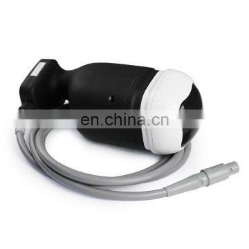 Renlang Portable Multifunctional Hifu Body Slimming Machine With Wrinkle Removal Function 2 in 1 photo-6