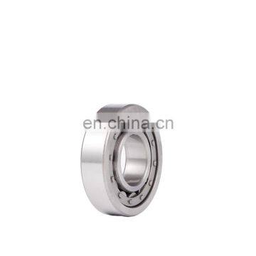 China lowest price Cylindrical roller bearing N /NU/NJ 300series