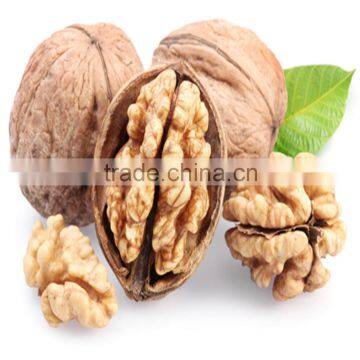 Walnut in Shell