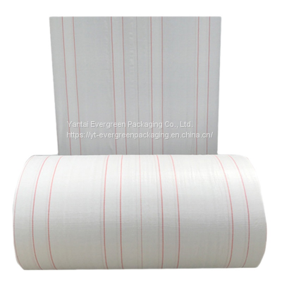 EGP PP Polypropylene Woven Bag/Sack Rolls Tubular Fabric photo-3