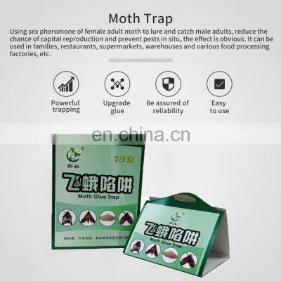 Non-toxic Pheromones Attractant Moth Trap With Wardrobe Glue Trap Board Clothes Moth And Pantry Moth Killer