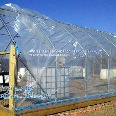 Plastic Film Agriculture Greenhouse,6 Mil Poly Anti-uv Plastic Greenhouse Film,Anti-fog UV Resistant,mushroom,TOMATO PAC photo-3