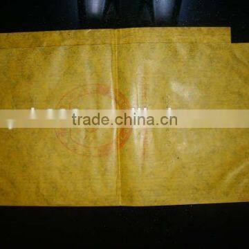Malaysia Vietnam Sri Lanka Kraft Paper Mango Protection Bag photo-3