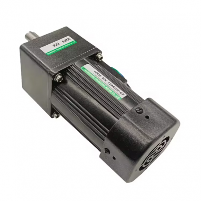 high torque 200W micro AC gear motor gearbox reduction ratio 3 to 200 constant speed motor