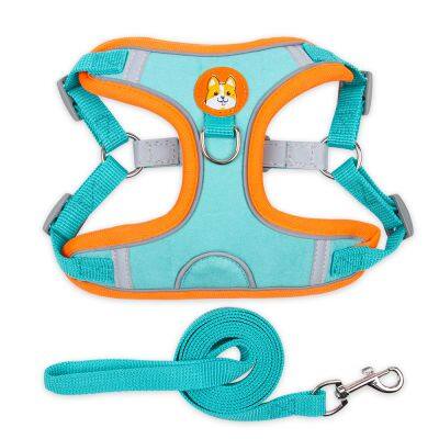 Pet Harness Small Dog With Leash Set photo-2
