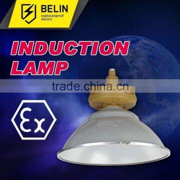 tri proof 200w induction light