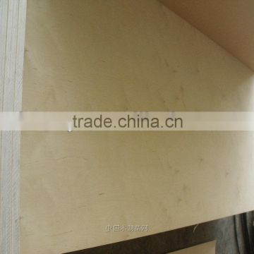 china birch plywood wth cheap price