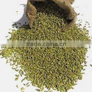 Admixture 1%max, 2010new Crops, Cumin Seed photo-2