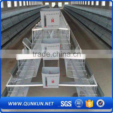 Automatic Manure Removal Machine Farm Poultry Equipment For Sale photo-6