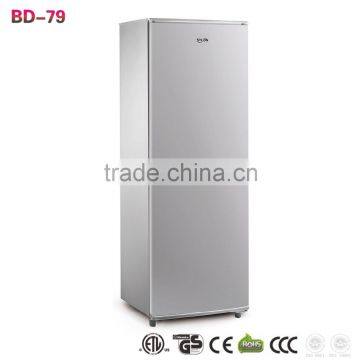BD -198 Upright Freezer