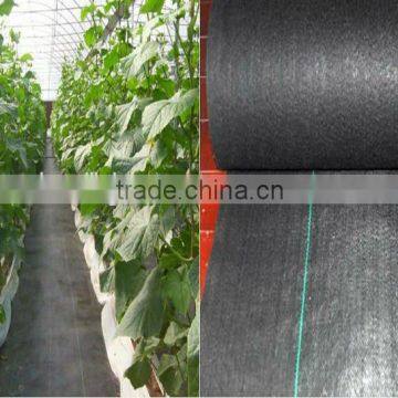PP Woven Ground Cover