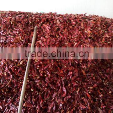 More Convenient and Stable Pepper Nail Clean Machine