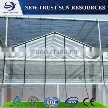 Multi-span Agricultural Glass Greenhouse photo-4