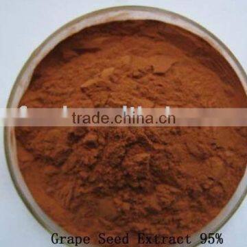 Water Soluble Grape Seed Extract