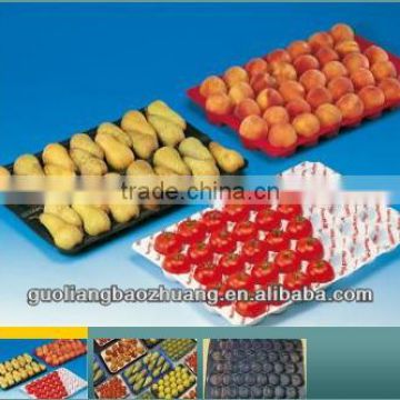 SGS/FDA 39X59cm Fruit Tray PP Material